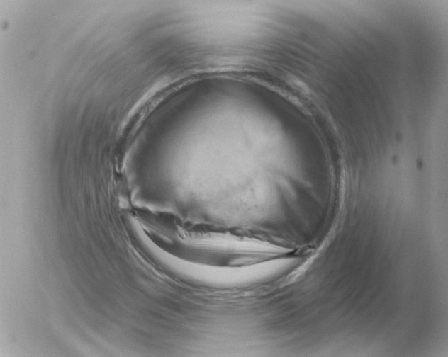 X0000052641449200507292253