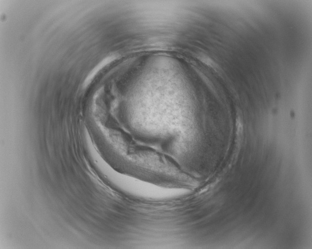 X0000052641450200507292253