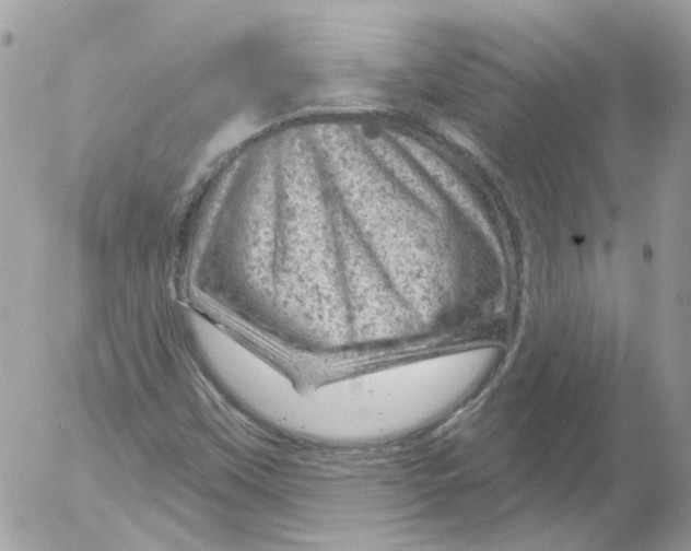 X0000052641451200507292253