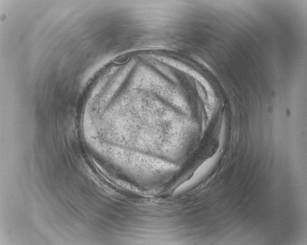 X0000052641452200507292253