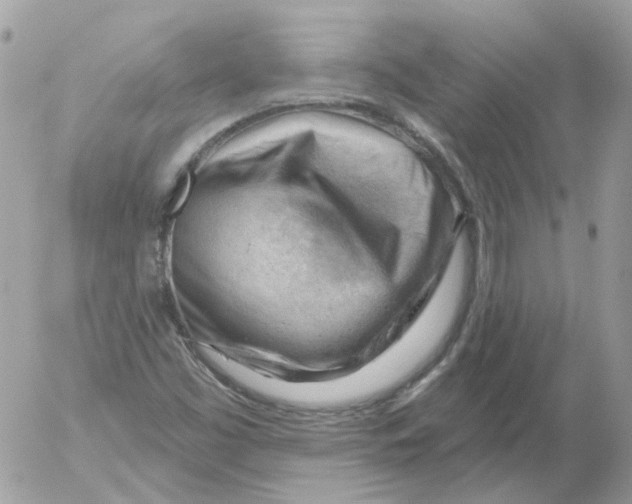 X0000052641453200507292253