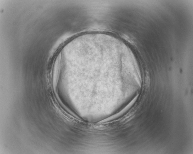 X0000052641454200507292253