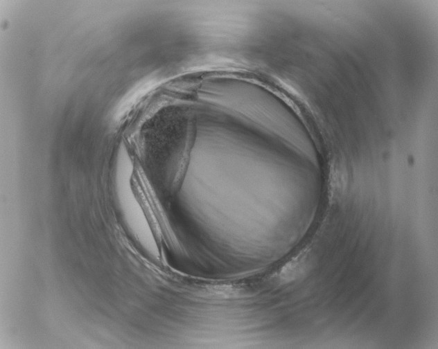 X0000052641455200507292253