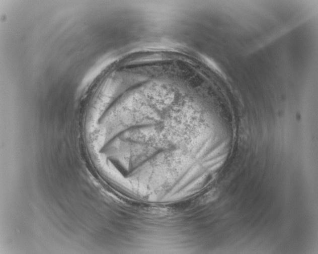 X0000052641456200507292253