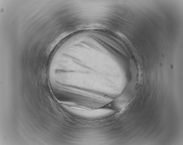 X0000052641457200507292253