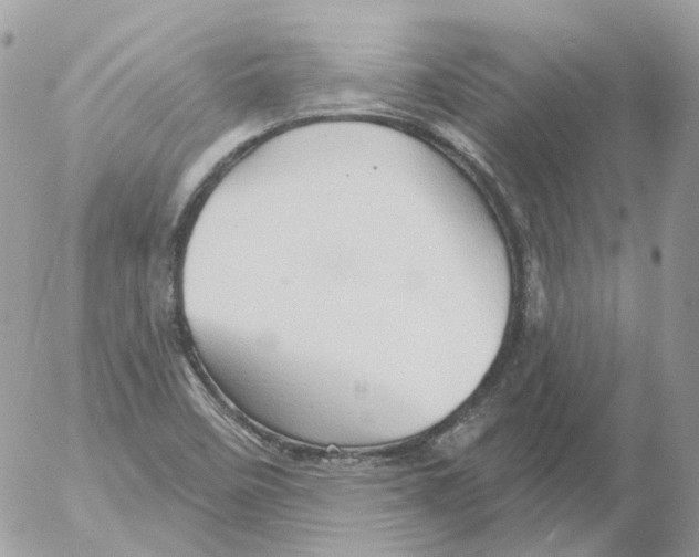 X0000052641458200507292253