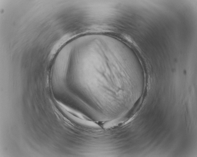 X0000052641459200507292253