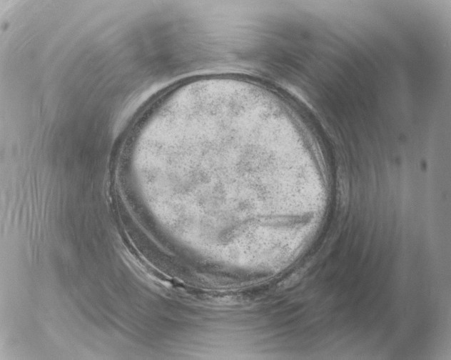 X0000052641460200507292253