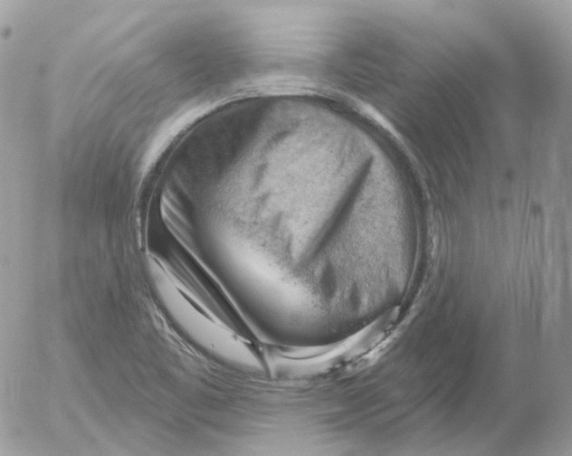 X0000052641461200507292253