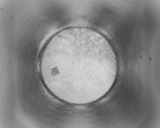 X0000052641462200507292253