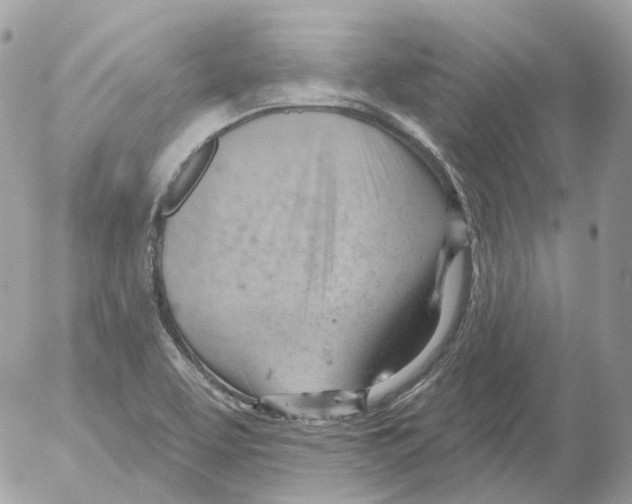 X0000052641463200507292253