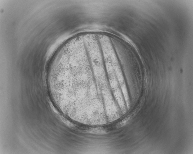 X0000052641464200507292253