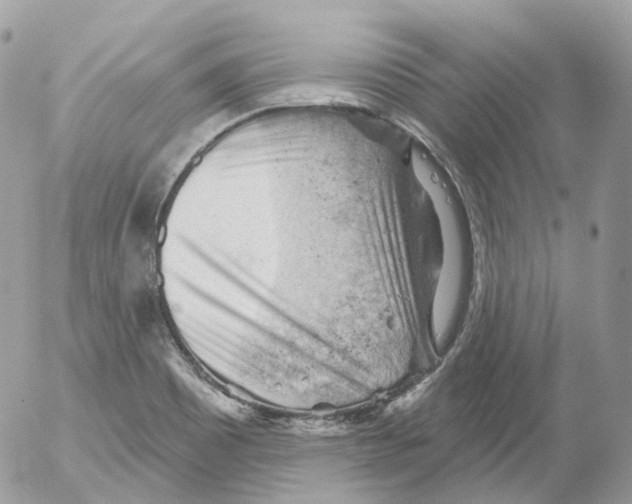 X0000052641465200507292253