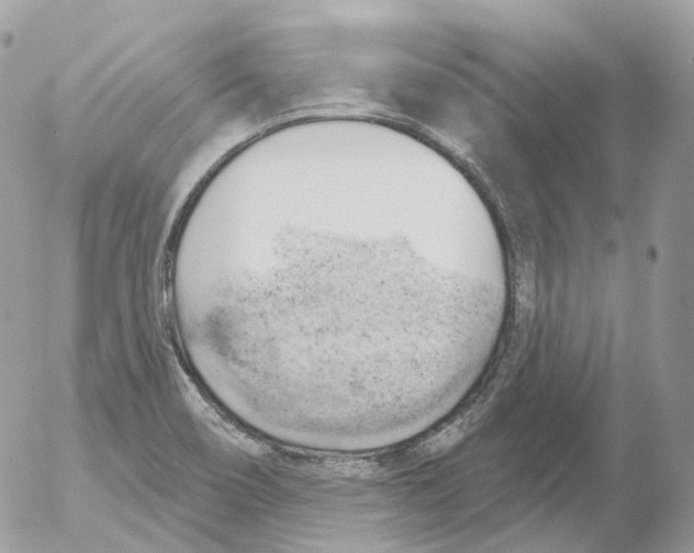 X0000052641466200507292253