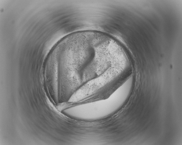 X0000052641468200507292253