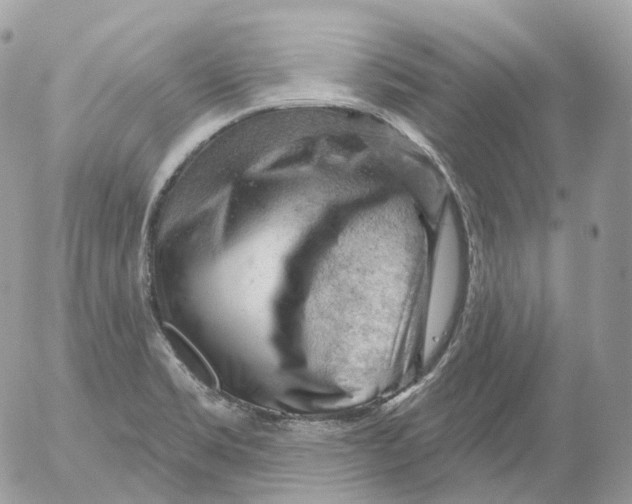 X0000052641469200507292253