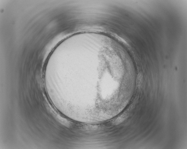 X0000052641470200507292253