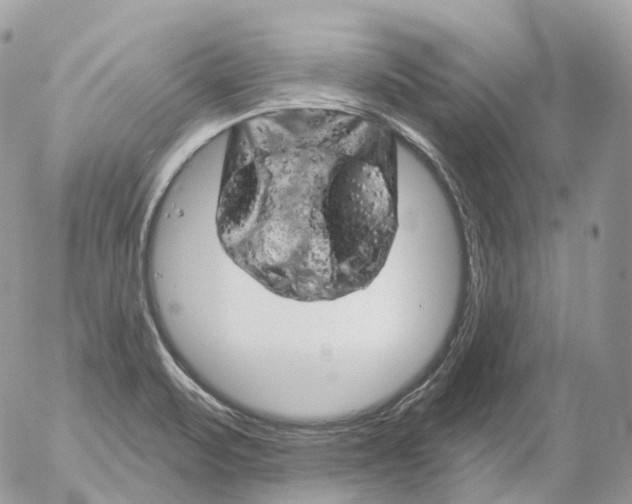 X0000052641471200507292253