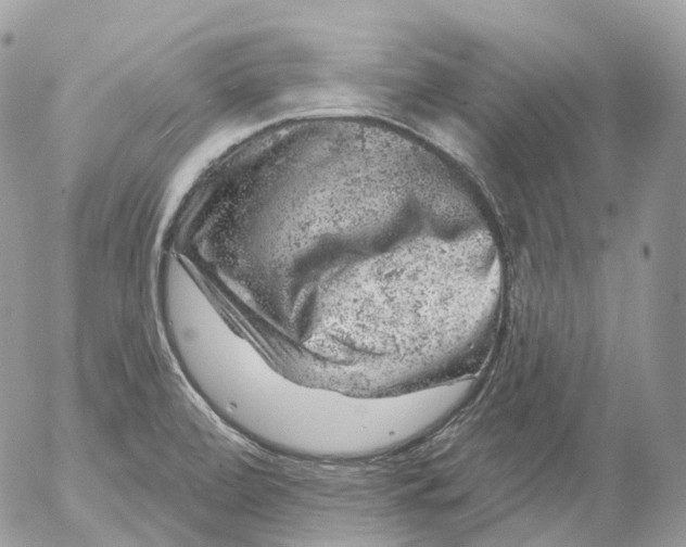 X0000052641472200507292253