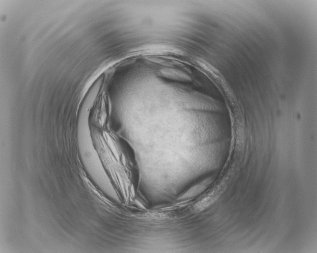 X0000052641473200507292253