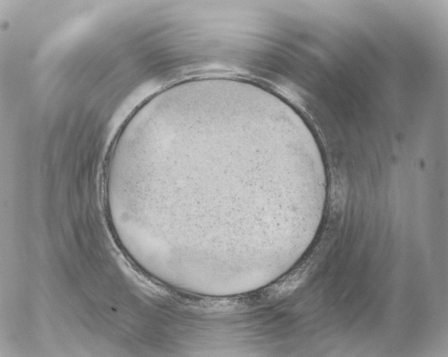 X0000052641474200507292253