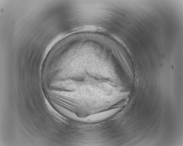 X0000052641475200507292253