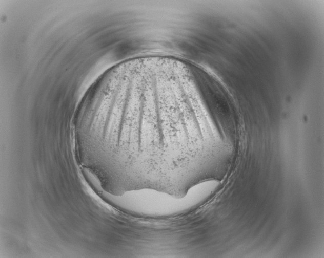 X0000052641476200507292253