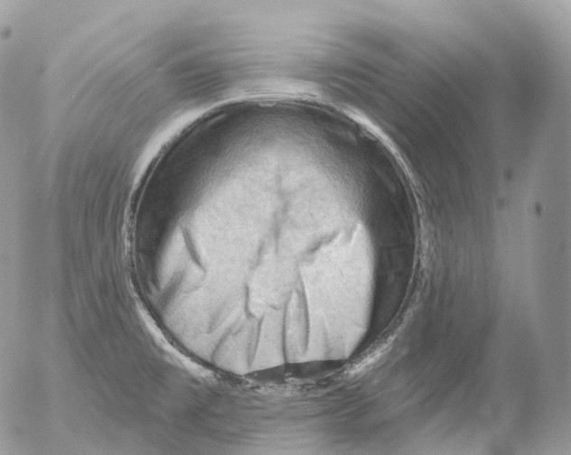 X0000052641477200507292253