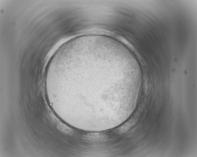 X0000052641478200507292253