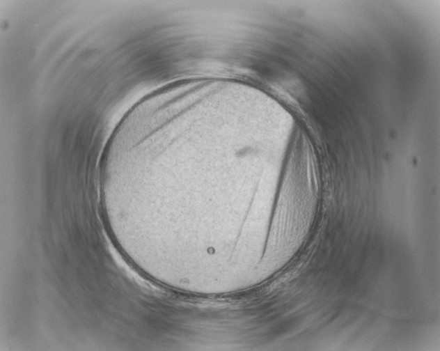 X0000052641479200507292253