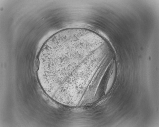 X0000052641480200507292253