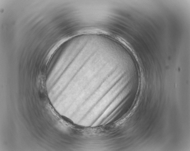 X0000052641481200507292253