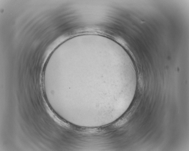 X0000052641482200507292252