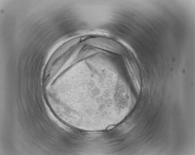 X0000052641483200507292252