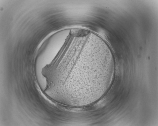 X0000052641484200507292252