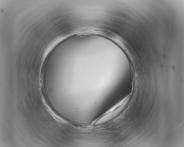 X0000052641485200507292252