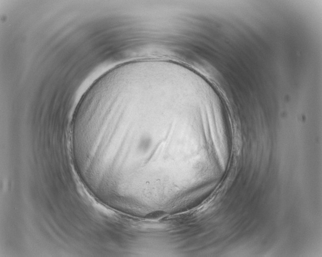 X0000052641486200507292252