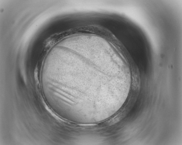 X0000052641487200507292252