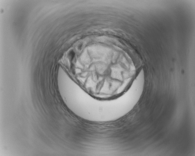 X0000052641489200507292252