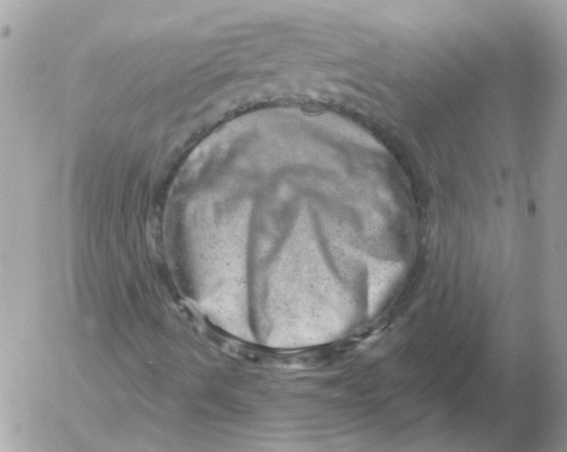 X0000052641490200507292252