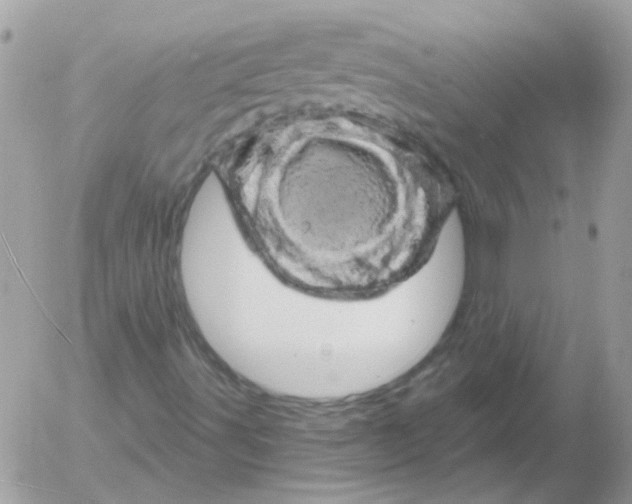 X0000052641491200507292252