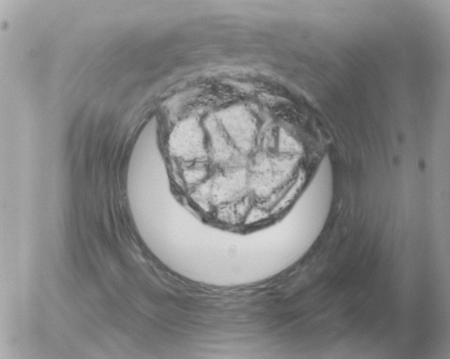 X0000052641492200507292252