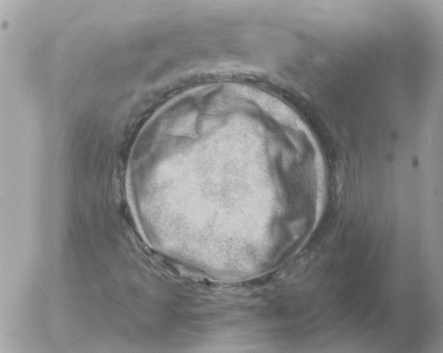 X0000052641493200507292252