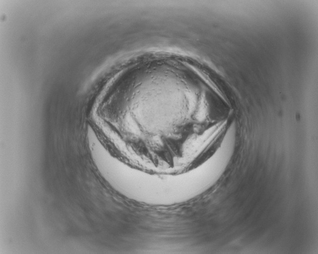 X0000052641495200507292252