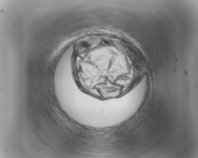 X0000052641496200507292252