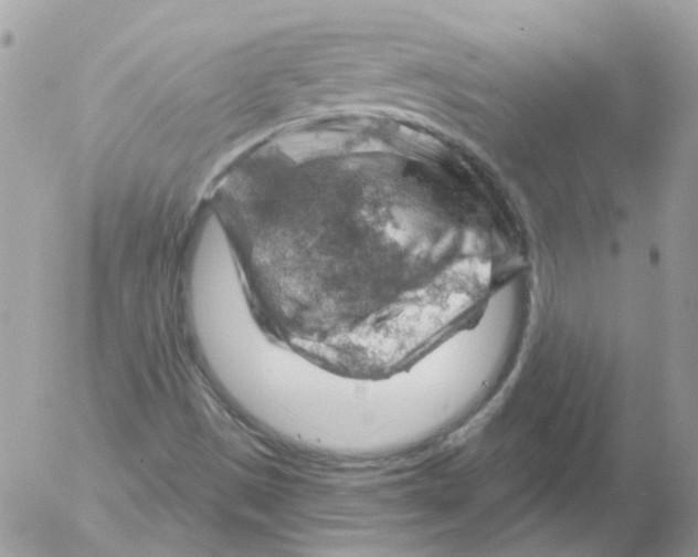 X0000052641497200507292252