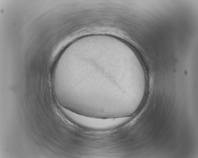 X0000052641498200507292252