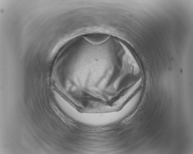 X0000052641499200507292252