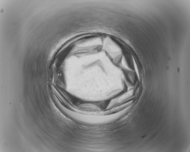 X0000052641500200507292252