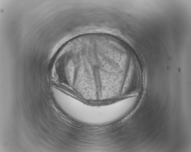 X0000052641501200507292252